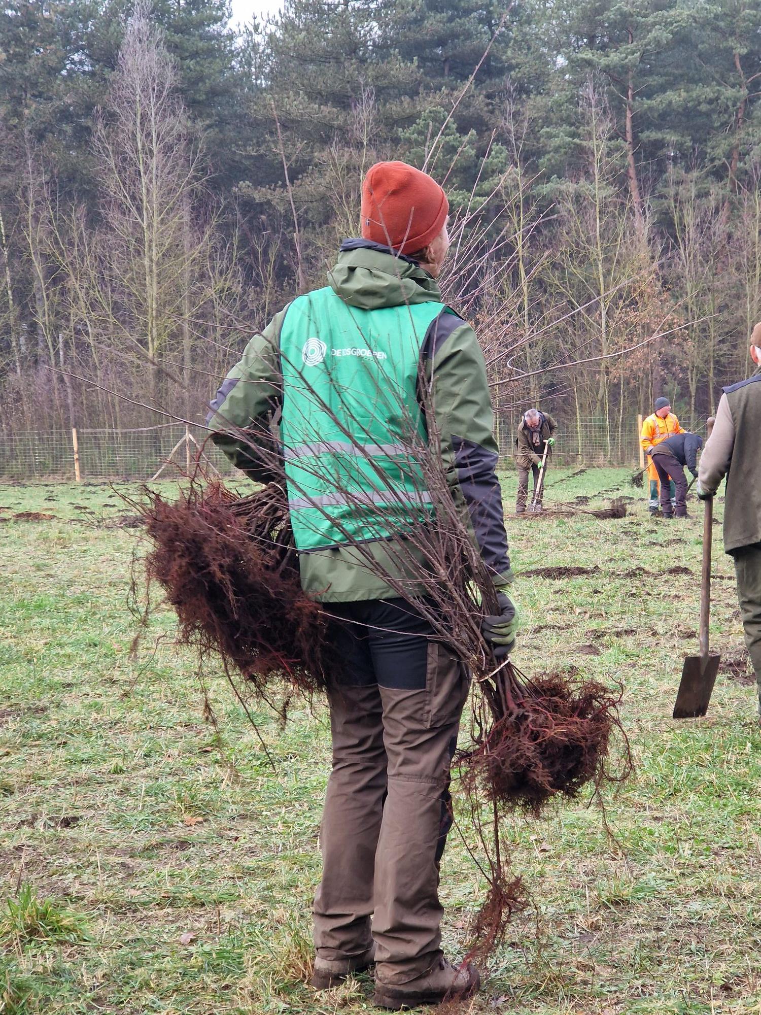 plantactie_20240121_01.jpg