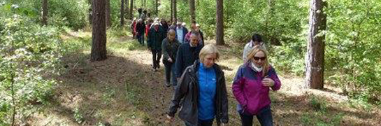 Mensen aan het wandelen in een bos
