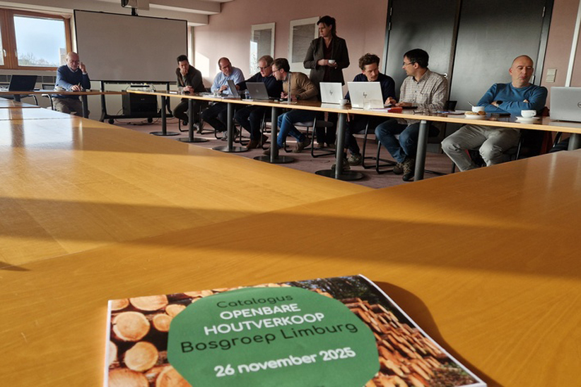 Beeld tijdens de houtverkoop