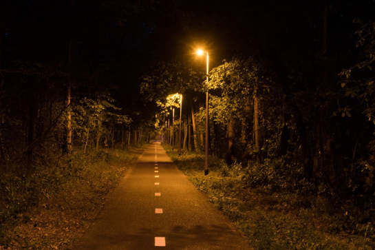 Verlicht fietspad in bosrijk gebied © Mine Dalemans